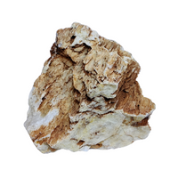 Thumbnail for Aqualife Chicken Bone Stone-Per Kg