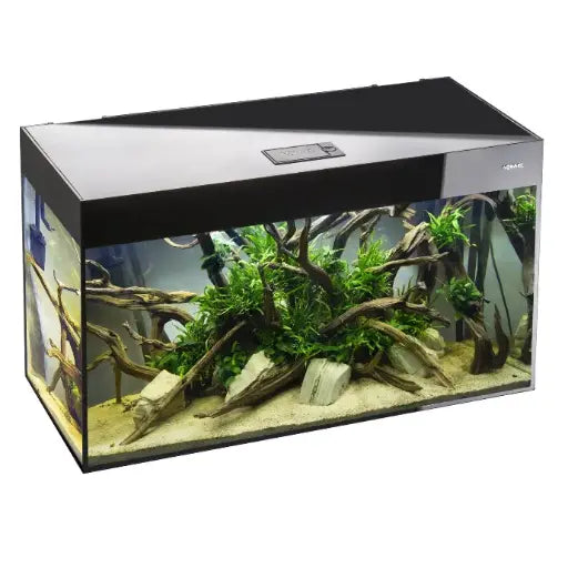 Aquael Aquarium Glossy Day & Night black[Dimension - 120 x 40 x 63cm]
