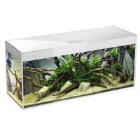 Thumbnail for Aquael Aquarium Glossy ST 120 day & Night White [Dimension - 120 x 40 x 63cm]