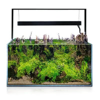 Thumbnail for Aquael UltraScape Forest Aquarium[Volume - 60L]