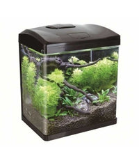 Thumbnail for Boyu EC-Series Aquarium without Cabinet [EC-600] 65.5x38.5x55.3cm
