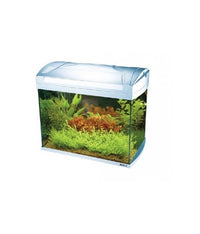 Thumbnail for Boyu Aquarium 535Lx323Wx420Hmm-[ZJ-401A]-48L