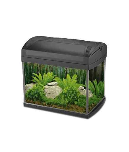 Boyu Aquarium ZJ-Series(Without Cabinet)[Dimension - 535x323x352mm]