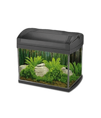 Thumbnail for Boyu Aquarium ZJ-Series(Without Cabinet)[Dimension - 535x323x352mm]
