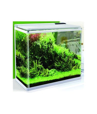 Thumbnail for Karis Aqua Haven Premium Aquarium Series[Dimension - 38.5 x 24 x 39.5cm]