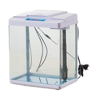 Karis Aquarium [Dimension - 285 x 180 x 350mm]