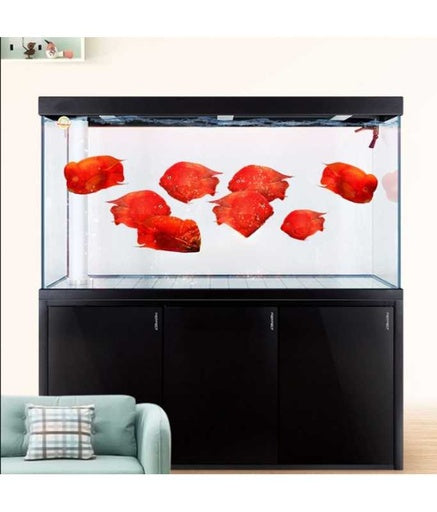 Karis Aquarium LYP-Series[Color - Black, Dimension - 1500 x 400 x 1600mm]