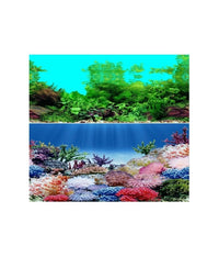 KW Zone Backscreen Picture  12