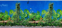 Thumbnail for Boyu Plastic Background Paper 60cm x 15m