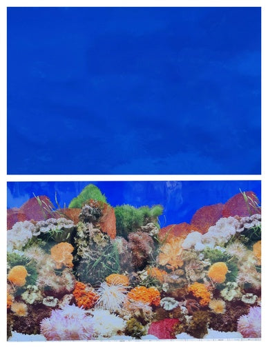 Boyu Plastic Double Sides Background Paper 60cm x15m