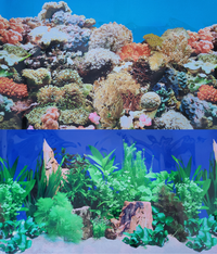 Thumbnail for Boyu Plastic Double Sides Background Paper 60cm x15m