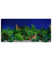 Thumbnail for Boyu Plastic Background Paper  60cm x 15m[Length - 60cm]