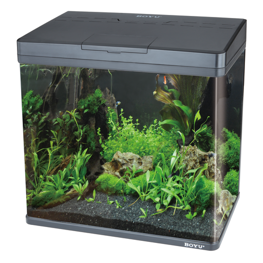 Boyu Aquarium MS-Series(Without Cabinet)[Color - Black,Dimension - 480x250x490cm]