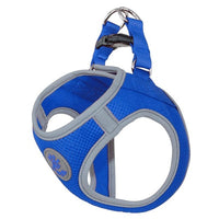 Thumbnail for DOCO® Athletica QUICK FIT Reflective Harness Small 37-40cm / 3-4.5kg-Blue
