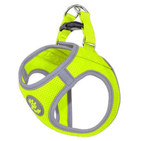 Thumbnail for DOCO® Athletica QUICK FIT Reflective Harness Small 37-40cm / 3-4.5kg-Safety Lemon