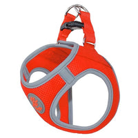 Thumbnail for DOCO® Athletica QUICK FIT Reflective Harness XXX.Small-24-28cm / 0.5-0.9kg-Safety Orange