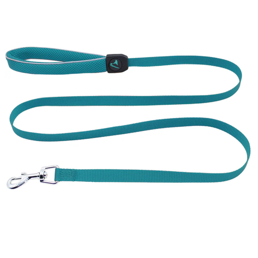 DOCO® Silver Reflective Mesh Leash Small-1.5 x150cm-Turquoise