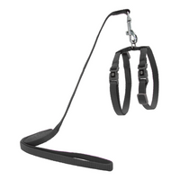 DOCO® Signature Cat Harness + Leash 6ft [Neck1x19-27cm; Chest1x28.5-46cm]-Grey