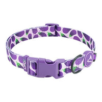 Thumbnail for DOCO® LOCO Collar Small-1.5 x 27-37cm EP