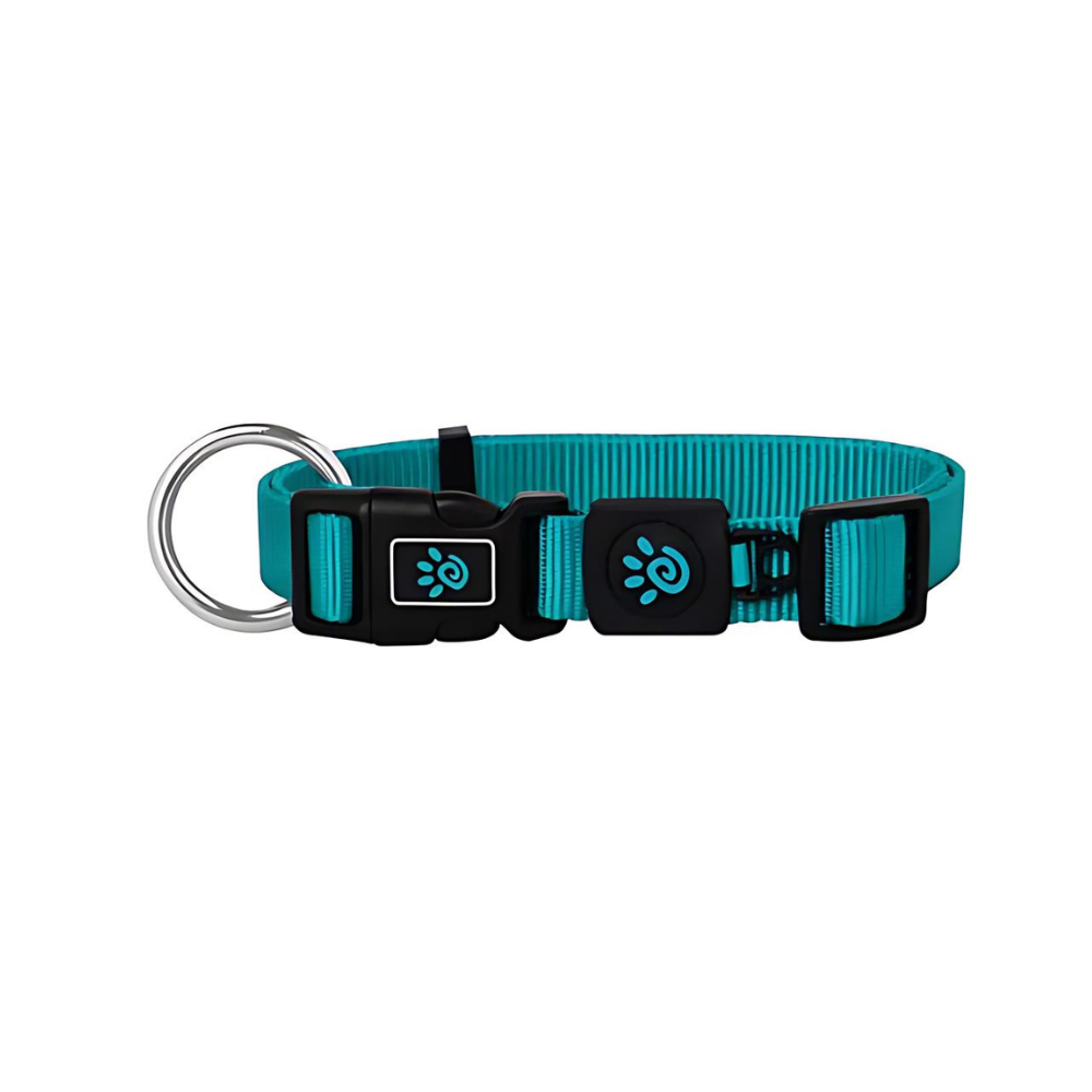 DOCO® Signature O- Ring Collar-2.0 x 35-51cm(M)-Turquoise