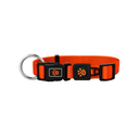 DOCO Signature O - Ring Collar[Size - XS, Color - Safety Orange]