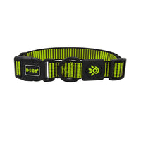 DOCO® Martini Bean Collar (DCS008)[Size - M, Color - Lemon]