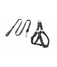 DOCO® Signature Step-In Harness+Nylon Leash - 4ft (DCSN202+1048)[Color - Grey, Size - L]