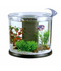 Thumbnail for Boyu Dy Series Desktop Aquarium - Mixed Colors[Dimension - 23.6 x 20.4 cm]
