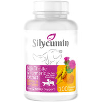 Thumbnail for Bio PetActive Silycumin Milk Thistle and Turmeric Extract 100tabs for Cats and Small Breed dogs