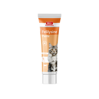 Thumbnail for Bio PetActive Felilysine Paste (L-Lysine paste for Cats) 100ml