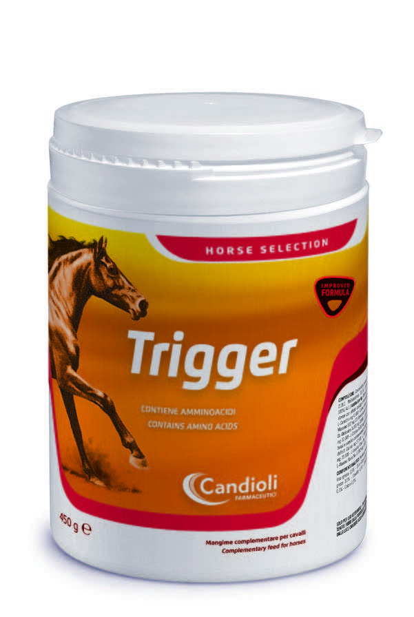 Trigger 3 kg