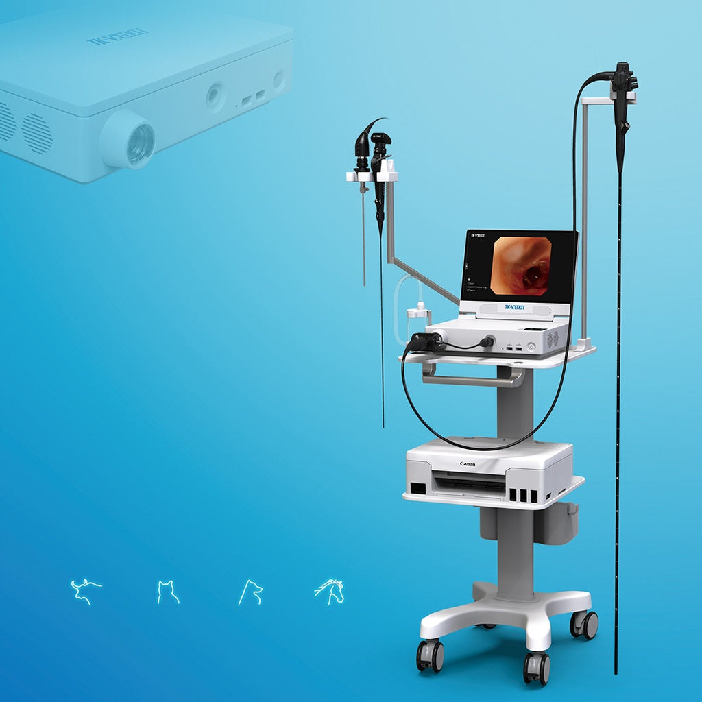 Equine endoscope - Flexible (HD Gastroscope)