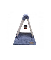 Catry Cat Scratching Post