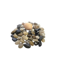 Thumbnail for Indian Stone Aquarium Pebbles - Stones - Rocks - Gravel - R2 - 25 KG (2-3cm)