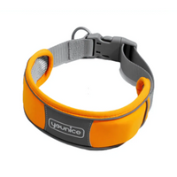 Thumbnail for Golden Panda Younice Neroprene Dog Collar 45-55cm