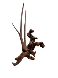 Karis Natural Drift Wood-5kg