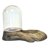 Thumbnail for KW Zone Reptiles Feeding Bowl U-605-15.5x10.8x11cm