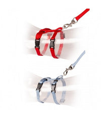 Thumbnail for Duvo Kitten Walking Set Uni Mixed Colors 15 - 25cm / 8mm - 125cm[Dimension - 15-25cm x 125cm x 8mm]