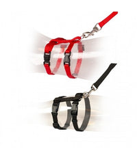 Thumbnail for Duvo Cat Walking Set Uni Mixed Colors 20 - 35cm / 10mm - 125cm[Dimension - 20-35cm x 10mm]