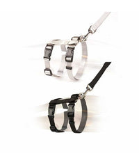 Thumbnail for Duvo+ Big Cat Walking Set Uni Mixed Colors 30-50cm / 12Mm - 125cm