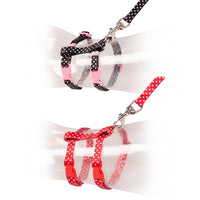 Thumbnail for Duvo+ Kitten Walking Set White Dots Black/Red 15-25cm / 8mm-125cm