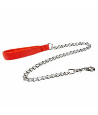 Thumbnail for Duvo+ Lead Chain Padded Handle 100cm - 4mm[Color - Maroon]