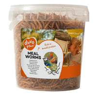 Thumbnail for Duvo Meal Worms Bucket 200g[Weight - 200g]