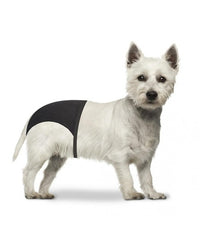 Thumbnail for Duvo+ Dog Pants 24-31cm / 32 - 39cm  / 40 - 49cm[Length - 24 - 31cm]