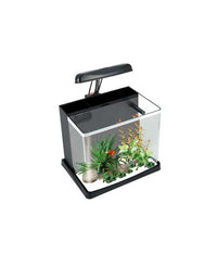 Thumbnail for Boyu Joyful Home Aquarium[Dimension - 35 x 21x 26 cm]