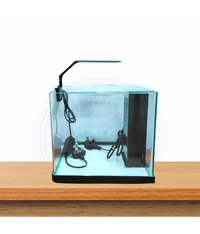 Thumbnail for Karis Mini Aquarium Kit, MINI-260 18L[Color - Black]