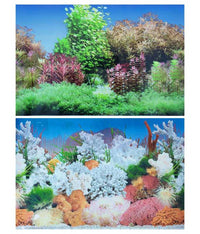 KW Zone Aquarium Backscreen (Picture) 24