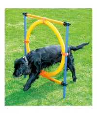 Thumbnail for Pawpals Aglt Dog Training Ring 117x10x10Cm