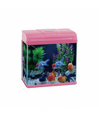 Thumbnail for Karis PF-Series Aquarium  285 x 180 x 320mm[Color - Pink]