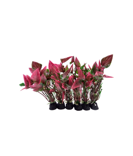 Camry Artificial Aquarium Plant Assorted (6pcs) 4 inch